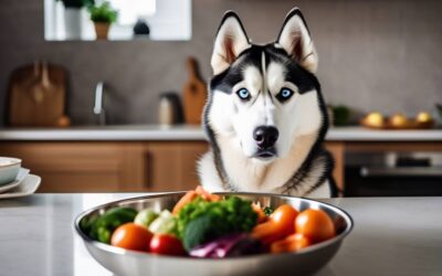 Jakie pokarmy są najlepsze dla psów rasy husky?