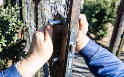 Jak samodzielnie zrobić bramę teleskopową na posesji?