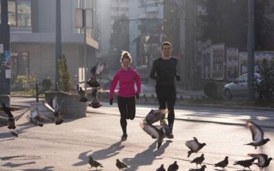 Jak skutecznie poradzić sobie z biegunką u kota?